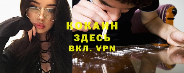дживик Арсеньев