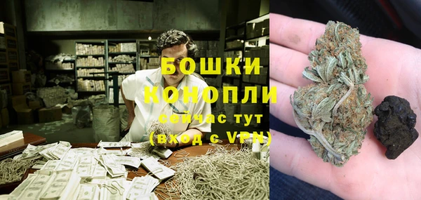 стаф Аркадак