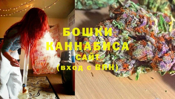 стаф Аркадак