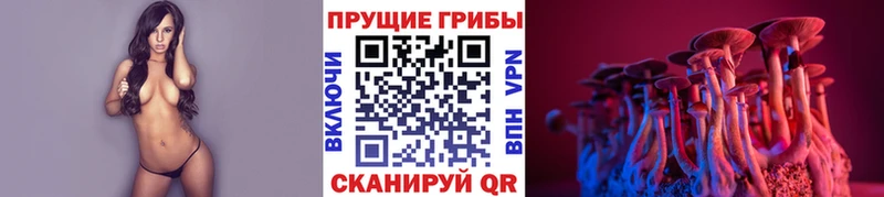 Купить  Таруса  Галлюциногенные грибы Psilocybine cubensis 